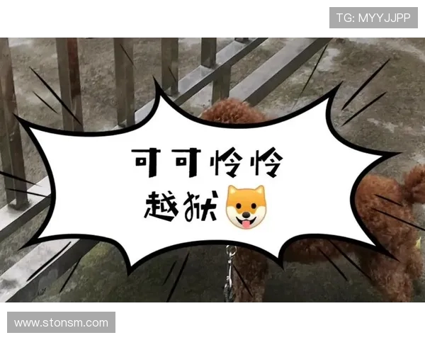 寰€杩旂エ鍙樺崟绋嬶紒浼婁竾绐侀伃涓嬭锛岃冻鍗忛珮灞傚共棰勬垚鍏抽敭